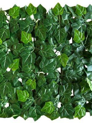 2f538fbd21ef4e26b4ae713a988040f3.jpg Jardín Vertical Aralia MZ199011B