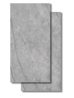 ab9b91de11fb58d1cc2e.png Visión Gray