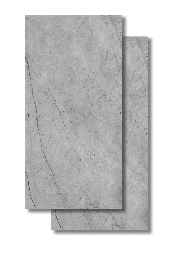 ab9b91de11fb58d1cc2e.png Visión Gray