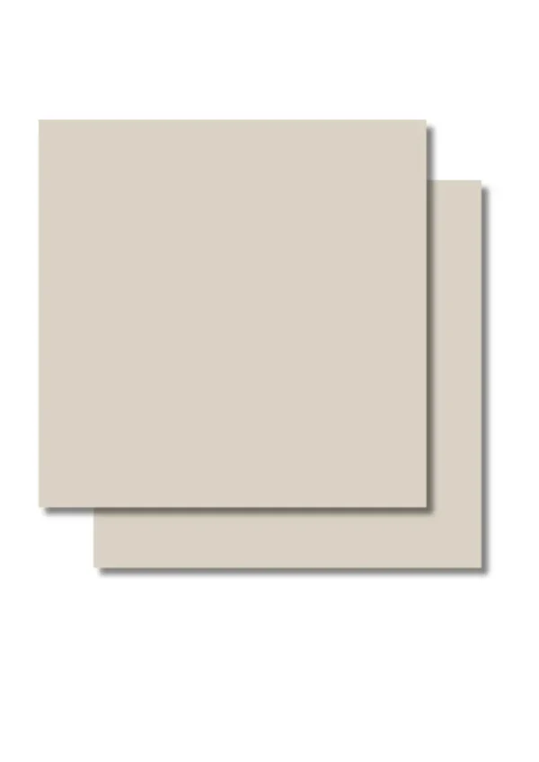 b2f296fa6488919743da.webp Simple Beige